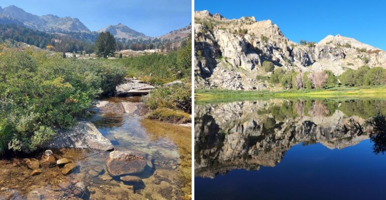 This Nevada Scenic Drive Is Packed With Fall Color And Feels Like A Road Trip Dream