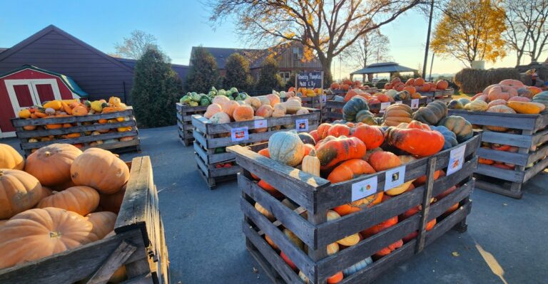 This Wisconsin Pumpkin Farm Lets You Feed Goats While Enjoying Classic Fall Activities