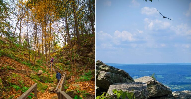 Rattlesnakes Quietly Share This Pennsylvania Mountain Overlook With Hikers