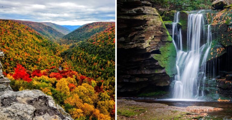 This West Virginia State Park Has A 57-Foot Waterfall Surrounded By Gorgeous Fall Colors