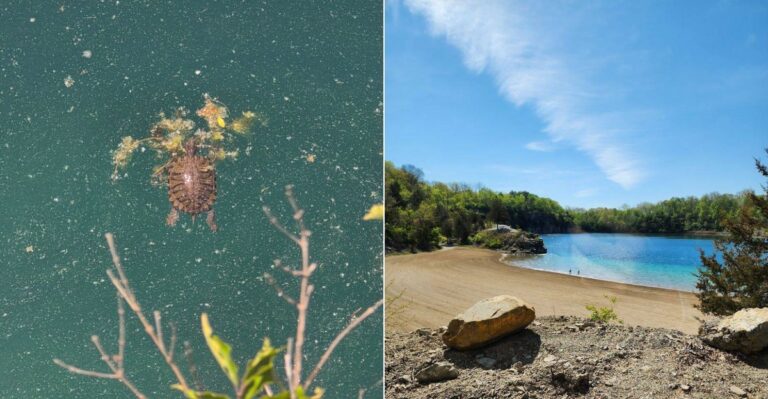 One Of Indiana’s Most Breathtaking Hidden Gems Is This Bright Blue Water Quarry