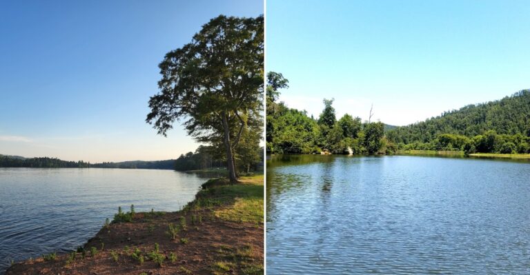 This Alabama Lake Is A Bass Fishing Paradise That Anglers Travel States To Reach