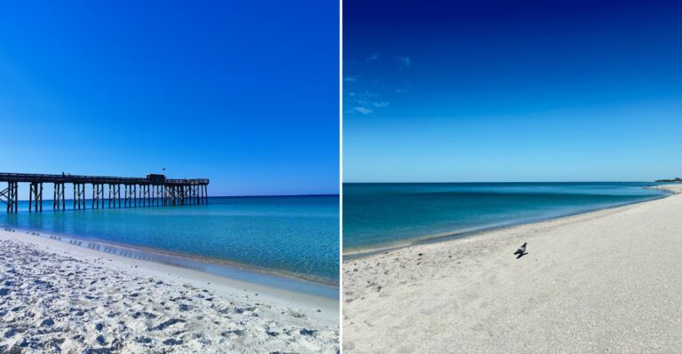 These 8 Florida Beaches Offer Unique Seashell Finds That Make Every Visit Special
