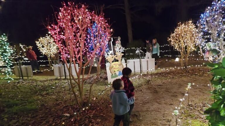 This Free Family-Run Christmas Light Trail Has Been Lighting Up A Small Mississippi Town For Decades