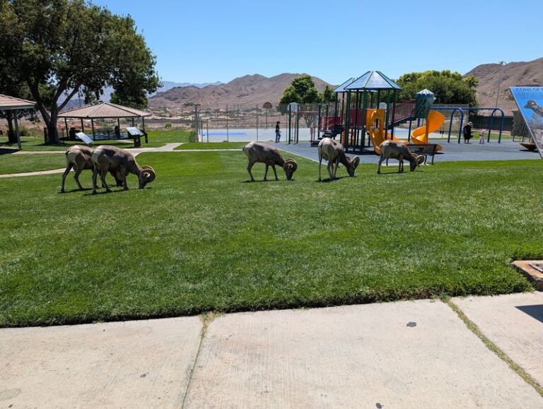 13 Nevada Parks Where Kids Run Free And Parents Never Pay An Entry Fee
