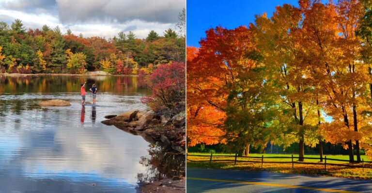 11 Dirt-Cheap Fall Day Trips In Massachusetts That Are Worth Taking This Year
