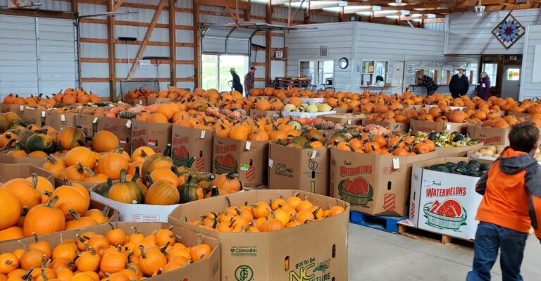 This Wisconsin Amish Produce Auction Packs Fall With Pumpkins Gourds Mums And Fresh Farm Produce