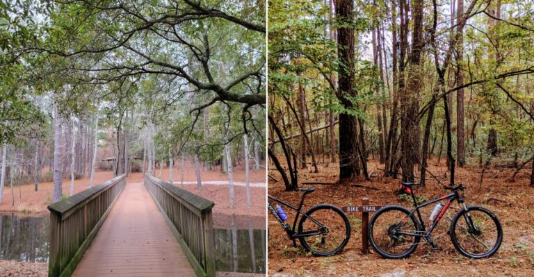 This Easy South Carolina Trail Is Perfect For Enjoying The Fall Colors