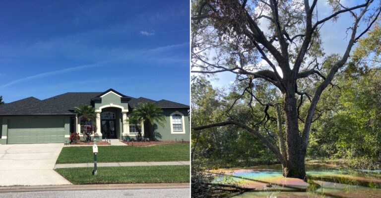 This Florida Neighborhood Looks Like It Belongs In A Quirky Halloween Movie