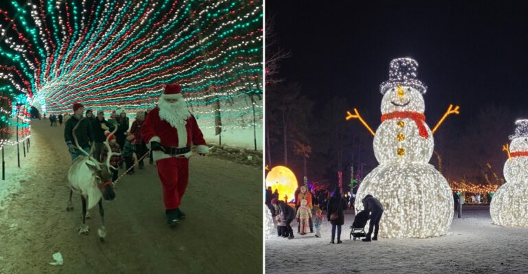 Every December, This Wisconsin Christmas Village Lights Up A Pine Forest With Millions Of Lights