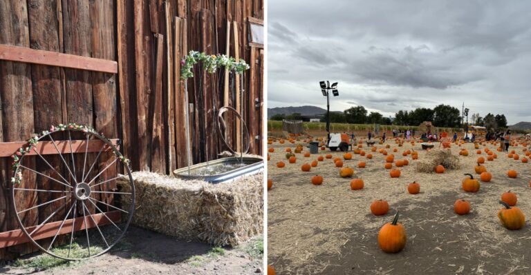 This Nevada Fall Festival Has Hayrides, Fresh Kettle Corn, and Free Entry