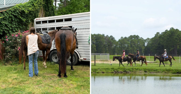 Saddle Up For Trail Rides Through Woods At These 5 Mississippi Stables