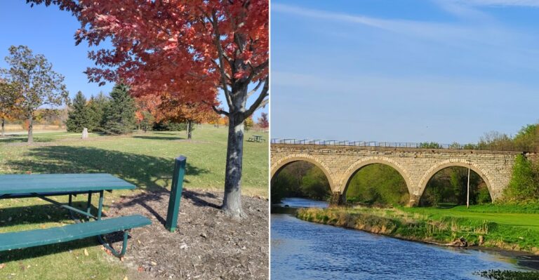 Pack Snacks For These 8 Wisconsin Springs And Creeks Where Fall Picnics Cost Nothing