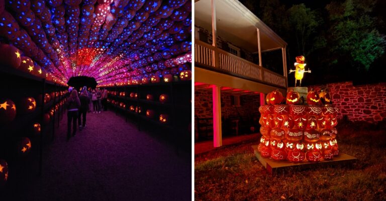 Thousands Of Hand Carved Jack O Lanterns Light Up A Historic Estate In New York After Dark