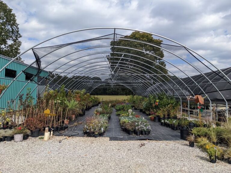 This Mississippi Nursery Makes Native Plants Its Specialty, And Plant-Nerd Staff Help You Choose What Thrives Here