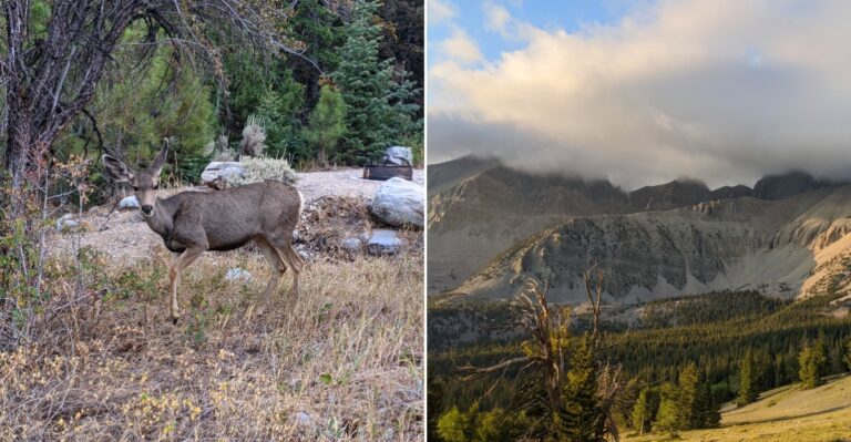 This Hidden Nevada Campground Sits Right Beside A Crystal Clear Mountain Stream