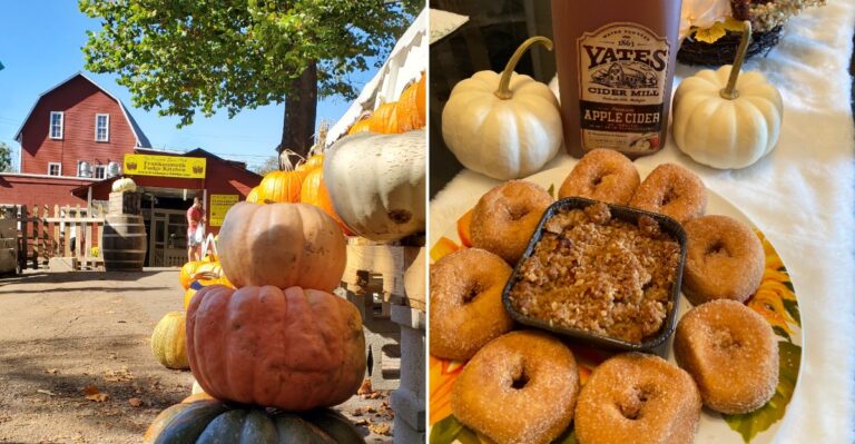 This Michigan Cider Mill Piles Hot Donuts On The Table And Keeps Locals Coming Back