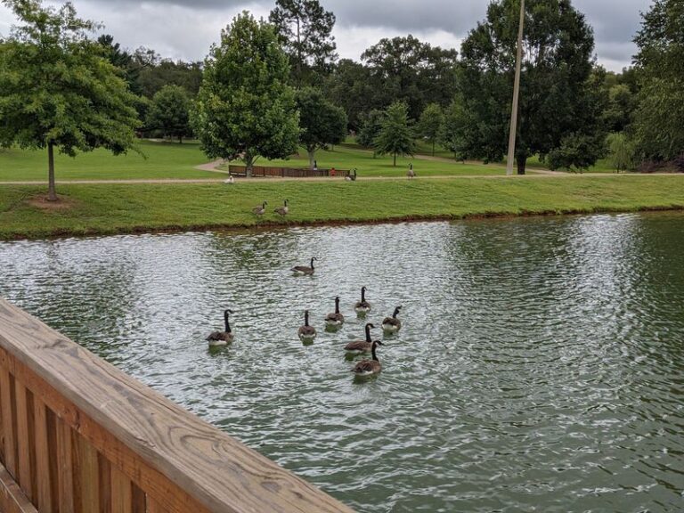 These 6 Free Mississippi Duck Ponds Turn A Quick Park Stop Into Toddler Giggles