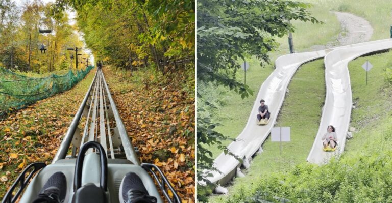 This Massachusetts Mountain Coaster Sends You Twisting Down The Mountain Through Peak Fall Foliage