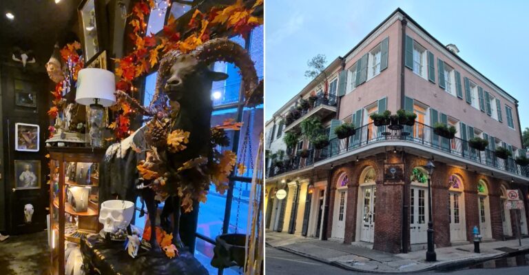 This Spooky Louisiana Shop Is Full Of Halloween Charm And Curious Treasures