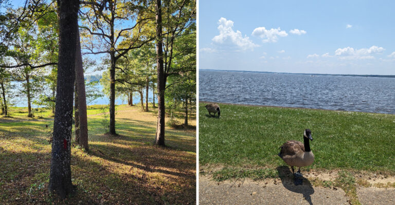 Bring A Cooler For These 6 Mississippi Lakes Where Families Just Pull In And Picnic