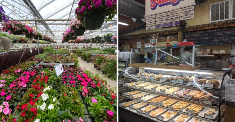 This Family-Owned Massachusetts Farm Market Has A Deli, Bakery, Greenhouse, And Petting Zoo
