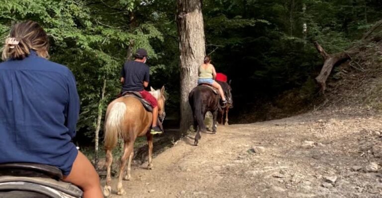 This Tennessee Horseback Tour Crosses A Creek And Climbs To Smoky Mountain Views