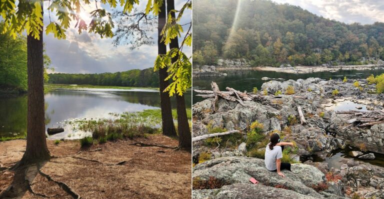 These 9 Virginia Parks Are Where Hikers Should Watch For Copperheads This Fall