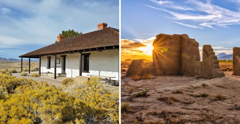 We Found A Desert Park In Nevada That Somehow Turns Gold Every Fall