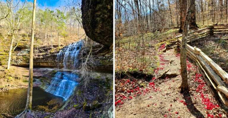 The Tennessee Trail With A 75-Foot Waterfall, Cascades, And A Deep Forest Hollow