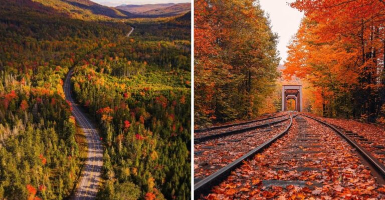 Every October, One Mountain Highway In New Hampshire Turns Into A River Of Red And Gold