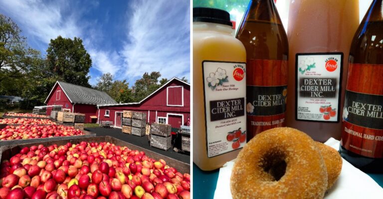 This Michigan Cider Mill Is Worth The Drive For Its Legendary Fresh-Baked Apple Turnovers