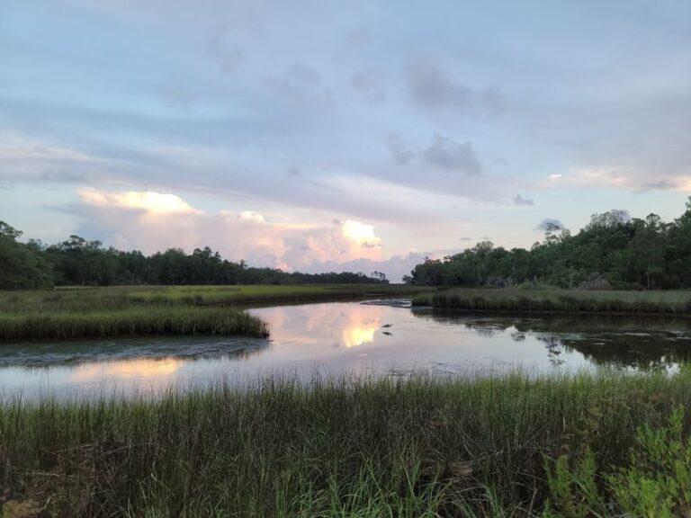This Quiet Mississippi Campground In Ocean Springs Has A Marsh Boardwalk Where Kids Spot Gators, Herons, And Turtles