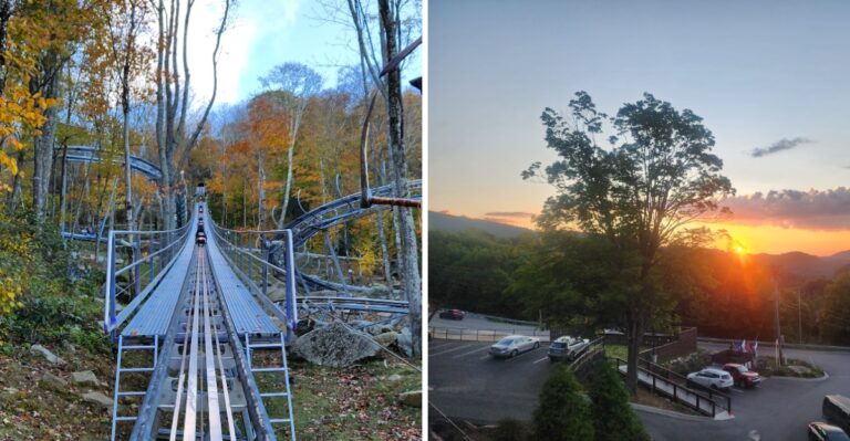 This North Carolina Mountain Coaster Lets You Race Through Fall Colors At 27 MPH