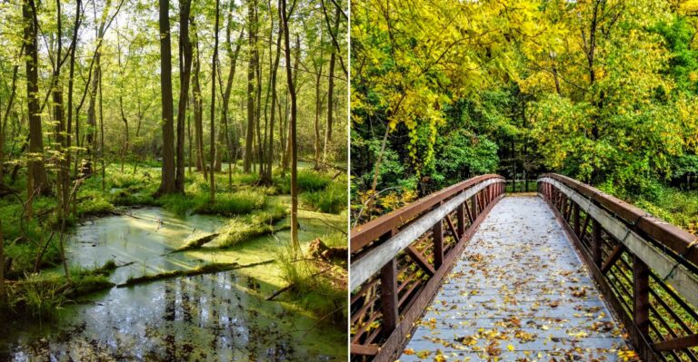 This Wisconsin Nature Center Combines Hands-On Discovery With Wetland Trails And Incredible Wildlife Watching
