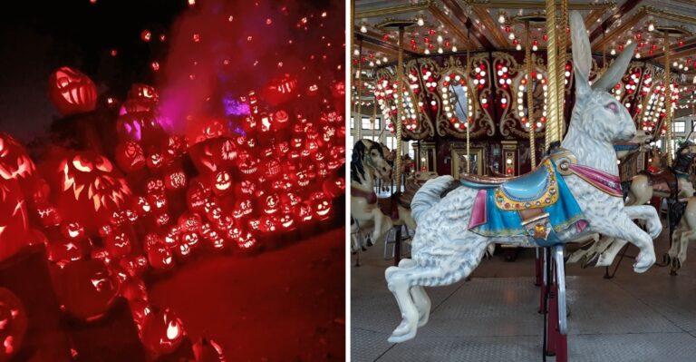 Over 5,000 Glowing Jack O Lanterns Light Up A Pun-Filled Trail At A Rhode Island Zoo