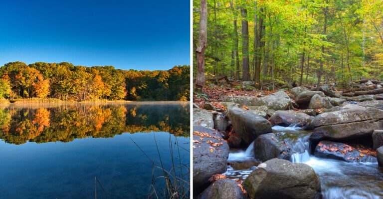 10 New Jersey State Parks That Are At Their Most Beautiful In October