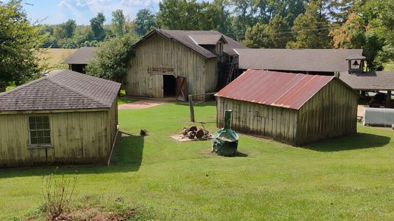 This Quiet Mississippi State Park Has An Old Fort, A Fire Tower, And Big River Views
