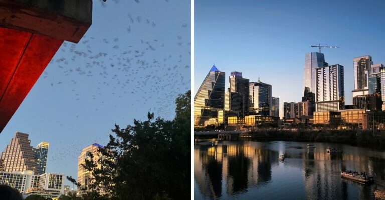 Over A Million Bats Pour Out From Under One Texas Bridge In Austin, Every Evening Before They Leave For Winter