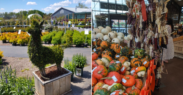 The Huge New York Garden Shop Packed With Thousands Of Pots In Every Size
