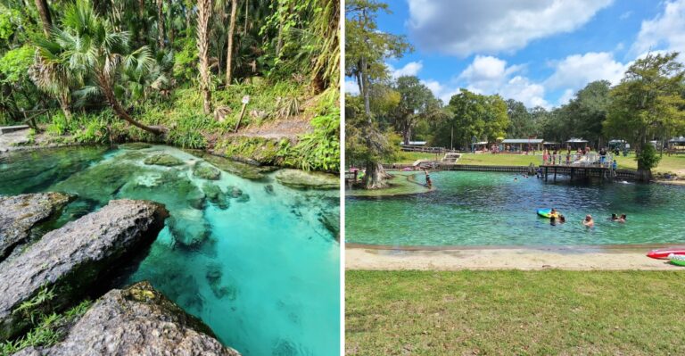 11 Secret Florida Springs That Feel Like Waterparks Hidden Deep In The Woods