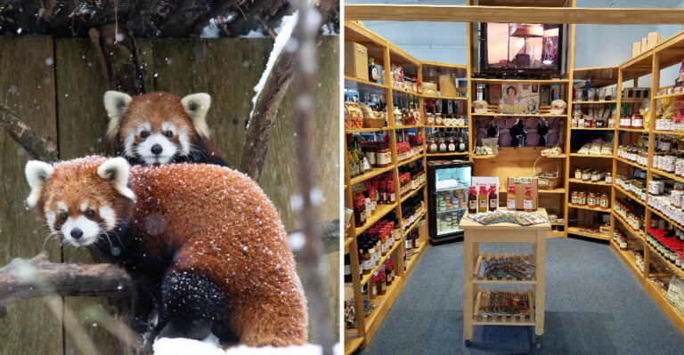 The 11 Stops Worth Pulling Over For On The Drive Between Albany And Syracuse, New York