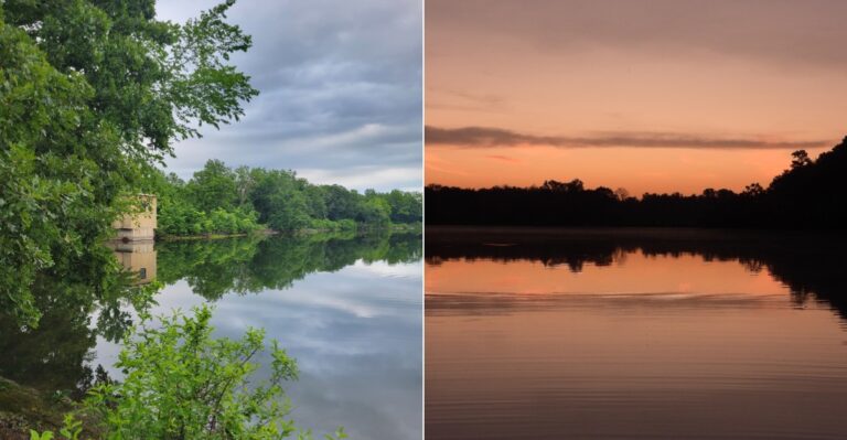 This Oklahoma Lake Is Becoming A Little Too Snake-Infested For Its Own Good