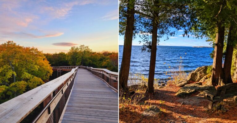 This Wisconsin State Park Offers Guided Fossil Hunts That Bring Ancient History To Life