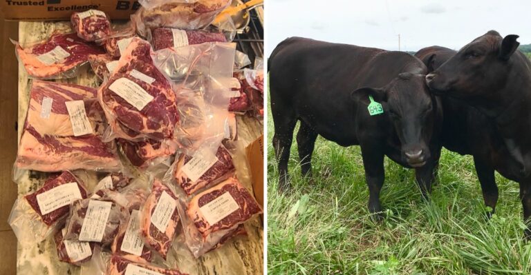 10 Tennessee Farms Where You Can Stock Your Freezer With Locally Raised Meat