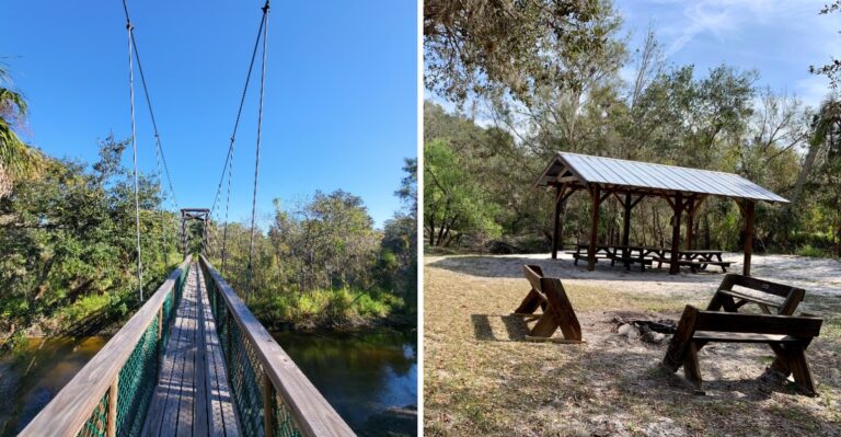 This Florida State Park Is One Of The Few Places Where You Can Hunt For Ancient Fossils