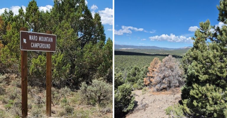 This Quiet Nevada Campground Has Fire Rings, Shade Trees, And Room To Roam