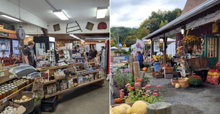 Everyone Knows The Big Grocery Chains, But This Massachusetts Farm Market Grows Almost Everything It Sells