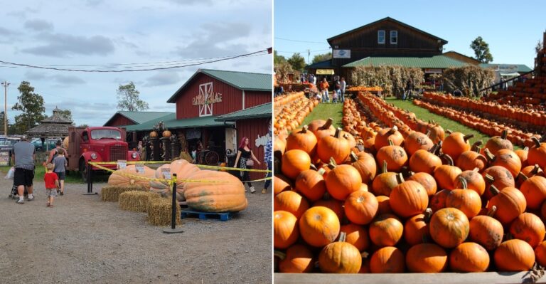 The Massive New York Fall Festival That Fills Its Fields With Corn Mazes And Giant Pumpkins
