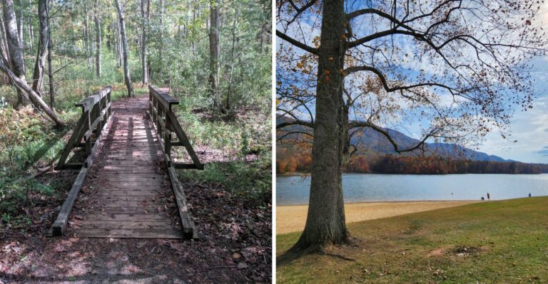 The 3.2 Mile Tennessee Trail That Winds Through The Forest And Leads To A Mountain Beach
